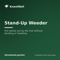 Stand-Up Weeder